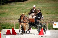 Photo n 38042&#10;CAI Le PIN 2016. Photo Chevalandrieu&#10;Sven TINLOT. BEL&#10;Affiche 13 fois&#10;Ajoute le 08/09/2016 11:52:06 par Nadinetoudic&#10;&#10;--> Cliquer pour agrandir <--