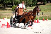Photo n 38043&#10;CAI Le PIN 2016. Photo Chevalandrieu&#10;Ivan MEUWIS. BEL&#10;Affiche 26 fois&#10;Ajoute le 08/09/2016 11:52:07 par Nadinetoudic&#10;&#10;--> Cliquer pour agrandir <--