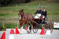 Photo n 38045&#10;CAI Le PIN 2016. Photo Chevalandrieu&#10;Equipage Valentine VERNA. FRA&#10;Affiche 32 fois&#10;Ajoute le 08/09/2016 11:52:07 par Nadinetoudic&#10;&#10;--> Cliquer pour agrandir <--