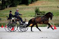 Photo n 38046&#10;CAI Le PIN 2016. Photo Chevalandrieu&#10;Pierre-Andr BRACELLI. SUI&#10;Affiche 20 fois&#10;Ajoute le 08/09/2016 11:52:07 par Nadinetoudic&#10;&#10;--> Cliquer pour agrandir <--