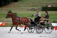Photo n 38048&#10;CAI Le PIN 2016. Photo Chevalandrieu&#10;Didier MATHIS. FRA&#10;Affiche 34 fois&#10;Ajoute le 08/09/2016 11:52:07 par Nadinetoudic&#10;&#10;--> Cliquer pour agrandir <--