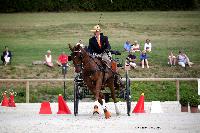 Photo n 38051&#10;CAI Le PIN 2016. Photo Chevalandrieu&#10;Franciscus HELLEGERS. NED&#10;Affiche 12 fois&#10;Ajoute le 08/09/2016 18:15:10 par Nadinetoudic&#10;&#10;--> Cliquer pour agrandir <--