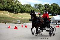 Photo n 38053&#10;CAI Le PIN 2016. Photo Chevalandrieu&#10;Renaud VINCK en dmonstration.&#10;Affiche 26 fois&#10;Ajoute le 08/09/2016 18:15:10 par Nadinetoudic&#10;&#10;--> Cliquer pour agrandir <--