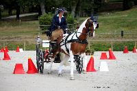 Photo n 38054&#10;CAI Le PIN 2016. Photo Chevalandrieu&#10;Laetitia MARICOURT. FRA&#10;Affiche 18 fois&#10;Ajoute le 08/09/2016 18:22:40 par Nadinetoudic&#10;&#10;--> Cliquer pour agrandir <--