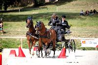 Photo n 38059&#10;CAI Le PIN 2016. Photo Chevalandrieu&#10;Pieter VAN DEN BROECK. BEL&#10;Affiche 12 fois&#10;Ajoute le 08/09/2016 18:43:32 par Nadinetoudic&#10;&#10;--> Cliquer pour agrandir <--