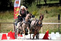 Photo n 38060&#10;CAI Le PIN 2016. Photo Chevalandrieu&#10;R. VAN DE KAMP. NED&#10;Affiche 18 fois&#10;Ajoute le 08/09/2016 18:43:32 par Nadinetoudic&#10;&#10;--> Cliquer pour agrandir <--