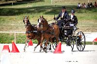 Photo n 38061&#10;CAI Le PIN 2016. Photo Chevalandrieu&#10;Dirk NEERINCK. NED&#10;Affiche 18 fois&#10;Ajoute le 08/09/2016 18:43:32 par Nadinetoudic&#10;&#10;--> Cliquer pour agrandir <--