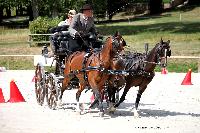 Photo n 38062&#10;CAI Le PIN 2016. Photo Chevalandrieu&#10;Wenny VANHEE. BZL&#10;Affiche 12 fois&#10;Ajoute le 08/09/2016 18:43:32 par Nadinetoudic&#10;&#10;--> Cliquer pour agrandir <--
