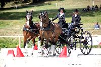 Photo n 38063&#10;CAI Le PIN 2016. Photo Chevalandrieu&#10;Diana LINDSAY. GBR&#10;Affiche 26 fois&#10;Ajoute le 08/09/2016 18:43:32 par Nadinetoudic&#10;&#10;--> Cliquer pour agrandir <--