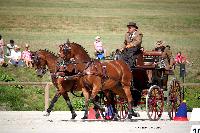 Photo n 38064&#10;CAI Le PIN 2016. Photo Chevalandrieu&#10;Leo VAN DER BURGT. NED&#10;Affiche 20 fois&#10;Ajoute le 08/09/2016 18:43:32 par Nadinetoudic&#10;&#10;--> Cliquer pour agrandir <--