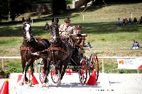 Photo n 38065&#10;CAI Le PIN 2016. Photo Chevalandrieu&#10;Bernard POUVREAU. FRA&#10;Affiche 29 fois&#10;Ajoute le 08/09/2016 18:43:32 par Nadinetoudic&#10;&#10;--> Cliquer pour agrandir <--