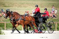Photo n 38066&#10;CAI Le PIN 2016. Photo Chevalandrieu&#10;Raphael BERRARD. FRA&#10;Affiche 33 fois&#10;Ajoute le 08/09/2016 18:43:32 par Nadinetoudic&#10;&#10;--> Cliquer pour agrandir <--