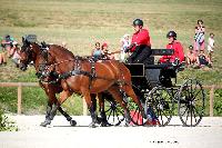 Photo n° 38066
CAI Le PIN 2016. Photo Chevalandrieu
Raphael BERRARD. FRA
Affichée 32 fois
Ajoutée le 08/09/2016 18:43:32 par Nadinetoudic

--> Cliquer pour agrandir <--