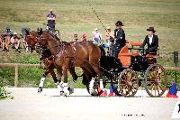 Photo n 38068&#10;CAI Le PIN 2016. Photo Chevalandrieu&#10;Rob VAN DEN HEUVEL. NED&#10;Affiche 33 fois&#10;Ajoute le 08/09/2016 18:43:33 par Nadinetoudic&#10;&#10;--> Cliquer pour agrandir <--
