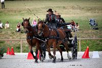 Photo n 38069&#10;CAI Le PIN 2016. Photo Chevalandrieu&#10;Etienne LOUESSE. BEL&#10;Affiche 17 fois&#10;Ajoute le 08/09/2016 18:43:33 par Nadinetoudic&#10;&#10;--> Cliquer pour agrandir <--