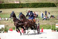 Photo n 38071&#10;CAI Le PIN 2016. Photo Chevalandrieu&#10;Vincent SERAZIN. FRA&#10;Affiche 31 fois&#10;Ajoute le 08/09/2016 18:43:33 par Nadinetoudic&#10;&#10;--> Cliquer pour agrandir <--