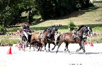 Photo n 38081&#10;CAI Le PIN 2016. Photo Chevalandrieu&#10;Gilles MOUSSU. FRA&#10;Affiche 15 fois&#10;Ajoute le 12/09/2016 15:13:33 par Nadinetoudic&#10;&#10;--> Cliquer pour agrandir <--