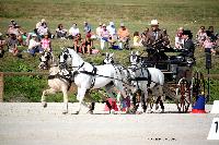 Photo n 38084&#10;CAI Le PIN 2016. Photo Chevalandrieu&#10;Jean-Charles DAVOUST. FRA&#10;Affiche 16 fois&#10;Ajoute le 12/09/2016 15:13:33 par Nadinetoudic&#10;&#10;--> Cliquer pour agrandir <--