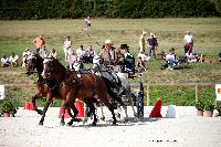 Photo n 38085&#10;CAI Le PIN 2016. Photo Chevalandrieu&#10;Denis BILLET. BEL&#10;Affiche 17 fois&#10;Ajoute le 12/09/2016 15:13:33 par Nadinetoudic&#10;&#10;--> Cliquer pour agrandir <--