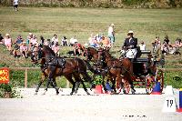 Photo n 38087&#10;CAI Le PIN 2016. Photo Chevalandrieu&#10;Nicolas DEUDON. BEL&#10;Affiche 21 fois&#10;Ajoute le 12/09/2016 15:13:33 par Nadinetoudic&#10;&#10;--> Cliquer pour agrandir <--