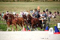 Photo n 38088&#10;CAI Le PIN 2016. Photo Chevalandrieu&#10;Jeroen DE SCHUTTER. BEL&#10;Affiche 14 fois&#10;Ajoute le 12/09/2016 15:13:33 par Nadinetoudic&#10;&#10;--> Cliquer pour agrandir <--