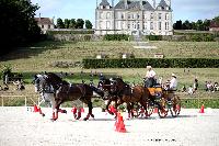 Photo n 38089&#10;CAI Le PIN 2016. Photo Chevalandrieu&#10;Patrice BAGILET. FRA&#10;Affiche 26 fois&#10;Ajoute le 12/09/2016 15:13:34 par Nadinetoudic&#10;&#10;--> Cliquer pour agrandir <--