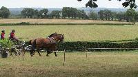 Photo n 38116&#10;CORLAY 2016 CdF Trait photo Capri&#10;Philippe Aspeele&#10;Affiche 25 fois&#10;Ajoute le 15/09/2016 07:56:24 par JeanClaudeGrognet&#10;&#10;--> Cliquer pour agrandir <--