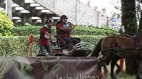 Photo n 38117&#10;CORLAY 2016 CdF Trait photo Capri&#10;Philippe Aspeele&#10;Affiche 24 fois&#10;Ajoute le 15/09/2016 07:56:24 par JeanClaudeGrognet&#10;&#10;--> Cliquer pour agrandir <--