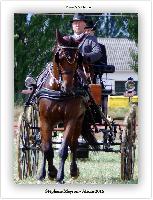 Photo n 38153&#10;ALIXAN 2016&#10;&#10;Affiche 36 fois&#10;Ajoute le 17/09/2016 08:38:26 par JeanClaudeGrognet&#10;&#10;--> Cliquer pour agrandir <--