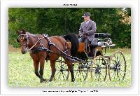 Photo n 38154&#10;ALIXAN 2016&#10;&#10;Affiche 33 fois&#10;Ajoute le 17/09/2016 08:38:26 par JeanClaudeGrognet&#10;&#10;--> Cliquer pour agrandir <--
