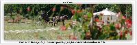 Photo n 38158&#10;ALIXAN 2016&#10;&#10;Affiche 20 fois&#10;Ajoute le 17/09/2016 08:38:26 par JeanClaudeGrognet&#10;&#10;--> Cliquer pour agrandir <--