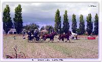 Photo n 38163&#10;ALIXAN 2016&#10;&#10;Affiche 28 fois&#10;Ajoute le 17/09/2016 08:38:26 par JeanClaudeGrognet&#10;&#10;--> Cliquer pour agrandir <--