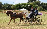 Photo n 38168&#10;ALIXAN 2016 photo Juju&#10;Gilles Curinier&#10;Affiche 41 fois&#10;Ajoute le 17/09/2016 12:48:20 par JeanClaudeGrognet&#10;&#10;--> Cliquer pour agrandir <--