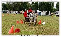 Photo n 38174&#10;ALIXAN 2016 photo Hliosness&#10;&#10;Affiche 16 fois&#10;Ajoute le 19/09/2016 09:59:54 par JeanClaudeGrognet&#10;&#10;--> Cliquer pour agrandir <--