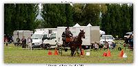 Photo n 38175&#10;ALIXAN 2016 photo Hliosness&#10;&#10;Affiche 15 fois&#10;Ajoute le 19/09/2016 09:59:54 par JeanClaudeGrognet&#10;&#10;--> Cliquer pour agrandir <--
