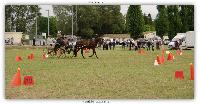 Photo n 38176&#10;ALIXAN 2016 photo Hliosness&#10;&#10;Affiche 16 fois&#10;Ajoute le 19/09/2016 09:59:54 par JeanClaudeGrognet&#10;&#10;--> Cliquer pour agrandir <--
