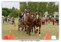 Photo n 38178&#10;ALIXAN 2016 photo Hliosness&#10;&#10;Affiche 25 fois&#10;Ajoute le 19/09/2016 09:59:54 par JeanClaudeGrognet&#10;&#10;--> Cliquer pour agrandir <--