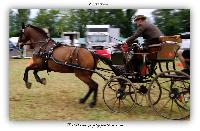 Photo n 38179&#10;ALIXAN 2016 photo Hliosness&#10;&#10;Affiche 52 fois&#10;Ajoute le 19/09/2016 09:59:54 par JeanClaudeGrognet&#10;&#10;--> Cliquer pour agrandir <--