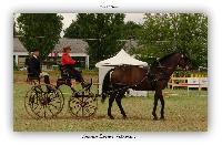 Photo n 38184&#10;ALIXAN 2016 photo Hliosness&#10;&#10;Affiche 13 fois&#10;Ajoute le 19/09/2016 09:59:54 par JeanClaudeGrognet&#10;&#10;--> Cliquer pour agrandir <--