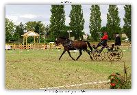 Photo n 38185&#10;ALIXAN 2016 photo Hliosness&#10;&#10;Affiche 12 fois&#10;Ajoute le 19/09/2016 09:59:54 par JeanClaudeGrognet&#10;&#10;--> Cliquer pour agrandir <--