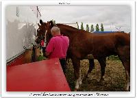 Photo n 38194&#10;ALIXAN 2016 photo Hliosness&#10;&#10;Affiche 13 fois&#10;Ajoute le 21/09/2016 08:04:27 par JeanClaudeGrognet&#10;&#10;--> Cliquer pour agrandir <--