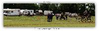 Photo n 38198&#10;ALIXAN 2016 photo Hliosness&#10;&#10;Affiche 23 fois&#10;Ajoute le 21/09/2016 08:04:28 par JeanClaudeGrognet&#10;&#10;--> Cliquer pour agrandir <--