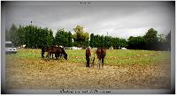 Photo n 38199&#10;ALIXAN 2016 photo Hliosness&#10;&#10;Affiche 15 fois&#10;Ajoute le 21/09/2016 08:04:28 par JeanClaudeGrognet&#10;&#10;--> Cliquer pour agrandir <--