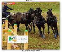Photo n 38204&#10;ALIXAN 2016 photo Hliosness&#10;&#10;Affiche 24 fois&#10;Ajoute le 21/09/2016 08:04:28 par JeanClaudeGrognet&#10;&#10;--> Cliquer pour agrandir <--