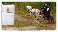 Photo n 38205&#10;ALIXAN 2016 photo Hliosness&#10;&#10;Affiche 20 fois&#10;Ajoute le 21/09/2016 08:04:28 par JeanClaudeGrognet&#10;&#10;--> Cliquer pour agrandir <--