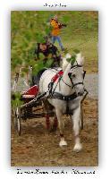 Photo n 38208&#10;ALIXAN 2016 photo Hliosness&#10;&#10;Affiche 17 fois&#10;Ajoute le 21/09/2016 08:04:28 par JeanClaudeGrognet&#10;&#10;--> Cliquer pour agrandir <--