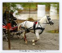 Photo n 38210&#10;ALIXAN 2016 photo Hliosness&#10;&#10;Affiche 12 fois&#10;Ajoute le 21/09/2016 08:04:28 par JeanClaudeGrognet&#10;&#10;--> Cliquer pour agrandir <--
