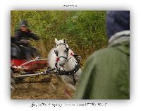 Photo n 38213&#10;ALIXAN 2016 photo Hliosness&#10;&#10;Affiche 15 fois&#10;Ajoute le 21/09/2016 08:04:28 par JeanClaudeGrognet&#10;&#10;--> Cliquer pour agrandir <--