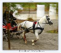 Photo n 38214&#10;ALIXAN 2016 photo Hliosness&#10;&#10;Affiche 21 fois&#10;Ajoute le 21/09/2016 08:04:28 par JeanClaudeGrognet&#10;&#10;--> Cliquer pour agrandir <--
