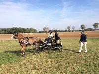 Photo n 38244&#10;SCHILDAU Chpt d'Eu Juniors&#10;Cassandre Astgiano et Laurie - photo Didier Cressent&#10;Affiche 30 fois&#10;Ajoute le 25/09/2016 11:10:02 par JeanClaudeGrognet&#10;&#10;--> Cliquer pour agrandir <--